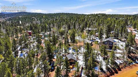 Tiny photo for 747 Trout Haven Road, Florissant, CO 80816 (MLS # 2358482)