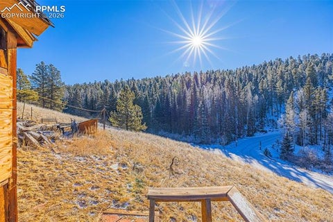Tiny photo for 69 Snowberry Creek Road, Florissant, CO 80816 (MLS # 6152934)