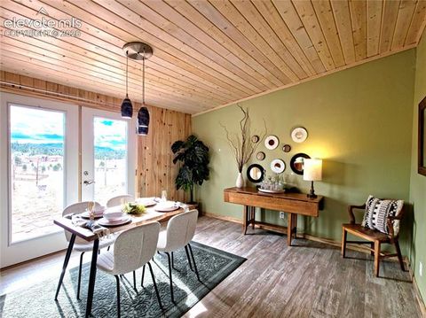 Tiny photo for 891 S Mountain Estates Road, Florissant, CO 80816 (MLS # 3574503)