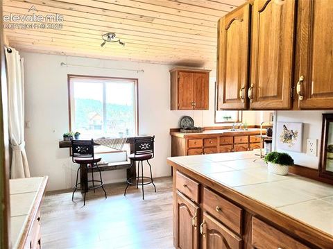 Tiny photo for 891 S Mountain Estates Road, Florissant, CO 80816 (MLS # 3574503)