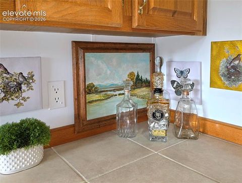 Tiny photo for 891 S Mountain Estates Road, Florissant, CO 80816 (MLS # 3574503)