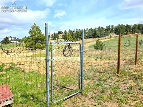 Tiny photo for 891 S Mountain Estates Road, Florissant, CO 80816 (MLS # 3574503)