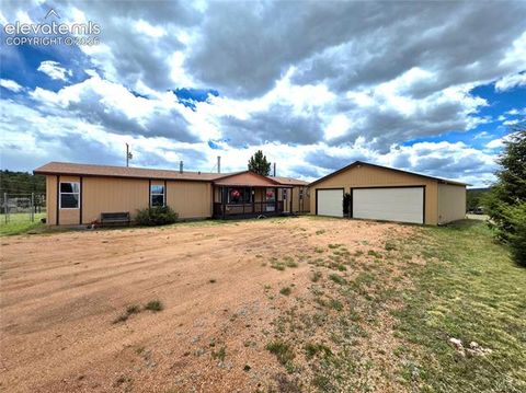 Photo of 891 S Mountain Estates Road, Florissant, CO 80816 (MLS # 3574503)