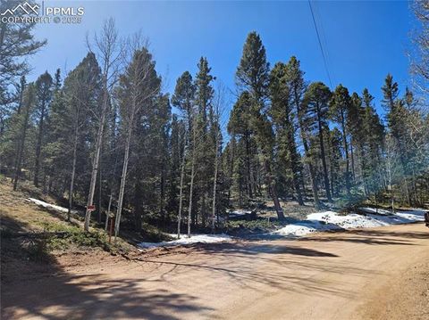 Photo of 550 Manchester Drive, Florissant, CO 80816 (MLS # 9898754)