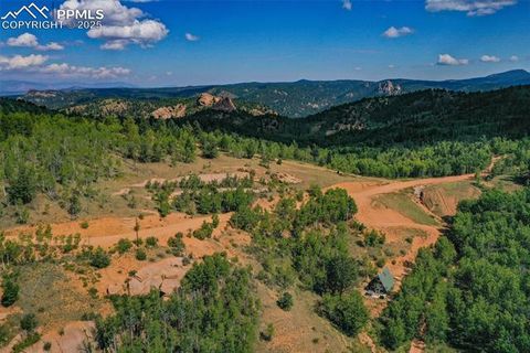 Photo of 1300 Golden Cycle Circle, Cripple Creek, CO 80813 (MLS # 7139792)