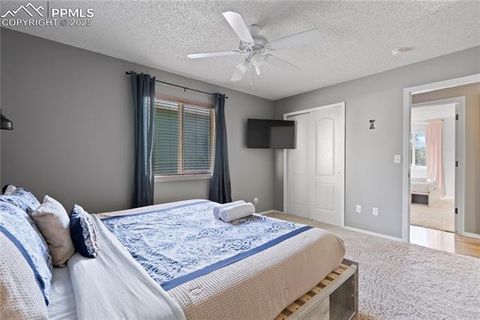 Tiny photo for 25 Sailing Way, Palmer Lake, CO 80133 (MLS # 6919780)