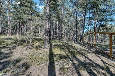 listing image 43