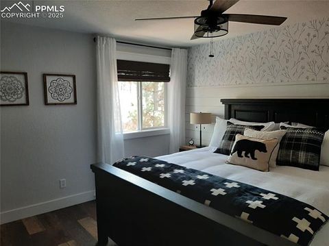 Tiny photo for 750 W Lake Ave, Woodland Park, CO 80863 (MLS # 4805700)