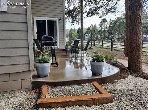 Tiny photo for 750 W Lake Ave, Woodland Park, CO 80863 (MLS # 4805700)