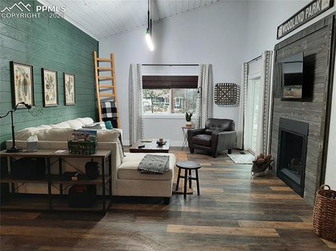 Tiny photo for 750 W Lake Ave, Woodland Park, CO 80863 (MLS # 4805700)