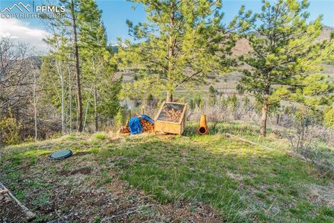 Tiny photo for 9610 Mohawk Trail, Cascade, CO 80809 (MLS # 7485526)