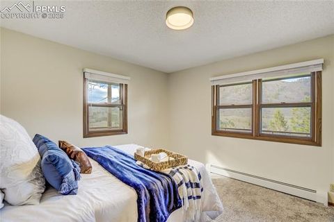 Tiny photo for 9610 Mohawk Trail, Cascade, CO 80809 (MLS # 7485526)