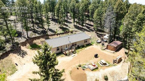 Tiny photo for 44 Silver Trail, Florissant, CO 80816 (MLS # 5250177)