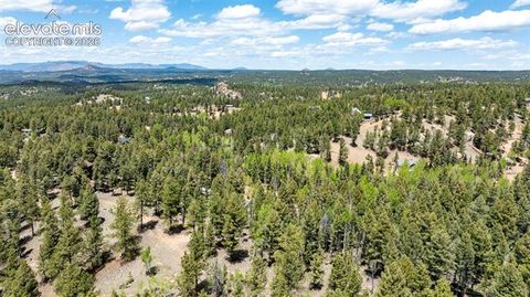 Tiny photo for 44 Silver Trail, Florissant, CO 80816 (MLS # 5250177)