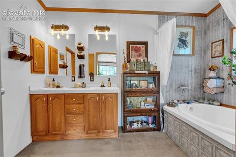 Tiny photo for 44 Silver Trail, Florissant, CO 80816 (MLS # 5250177)