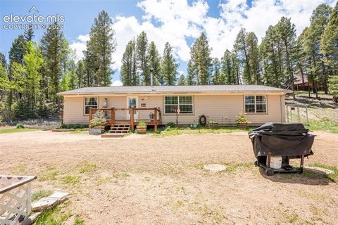 Photo of 44 Silver Trail, Florissant, CO 80816 (MLS # 5250177)
