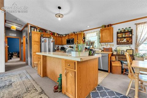 Tiny photo for 44 Silver Trail, Florissant, CO 80816 (MLS # 5250177)