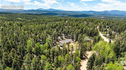 Tiny photo for 44 Silver Trail, Florissant, CO 80816 (MLS # 5250177)
