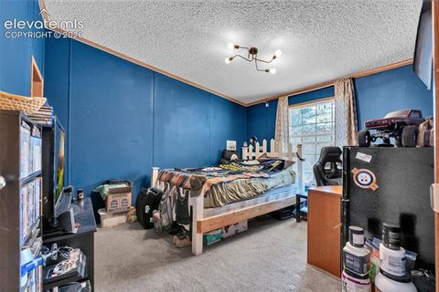Tiny photo for 44 Silver Trail, Florissant, CO 80816 (MLS # 5250177)