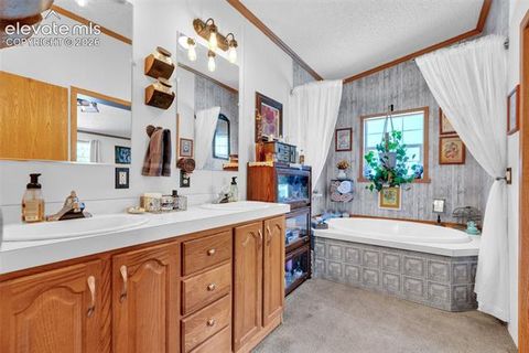 Tiny photo for 44 Silver Trail, Florissant, CO 80816 (MLS # 5250177)