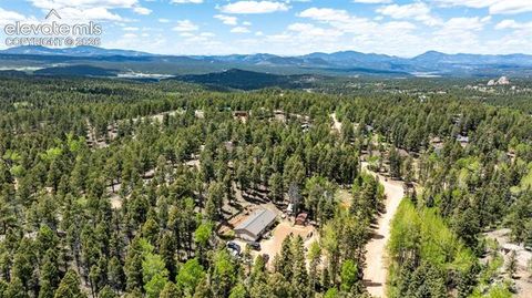 Tiny photo for 44 Silver Trail, Florissant, CO 80816 (MLS # 5250177)
