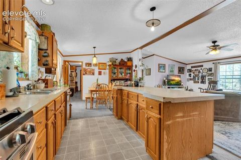 Tiny photo for 44 Silver Trail, Florissant, CO 80816 (MLS # 5250177)