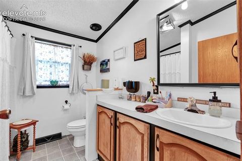 Tiny photo for 44 Silver Trail, Florissant, CO 80816 (MLS # 5250177)