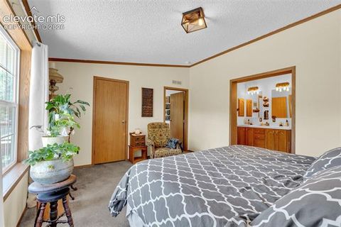 Tiny photo for 44 Silver Trail, Florissant, CO 80816 (MLS # 5250177)