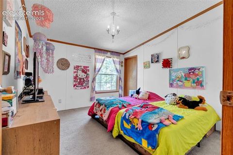 Tiny photo for 44 Silver Trail, Florissant, CO 80816 (MLS # 5250177)