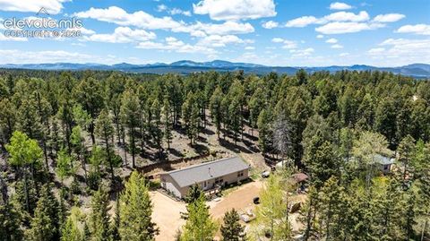 Tiny photo for 44 Silver Trail, Florissant, CO 80816 (MLS # 5250177)