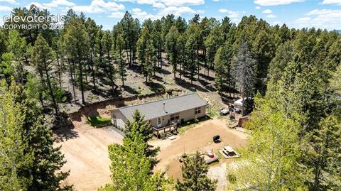 Tiny photo for 44 Silver Trail, Florissant, CO 80816 (MLS # 5250177)