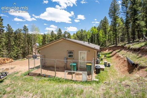 Tiny photo for 44 Silver Trail, Florissant, CO 80816 (MLS # 5250177)