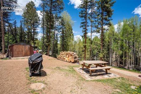 Tiny photo for 44 Silver Trail, Florissant, CO 80816 (MLS # 5250177)