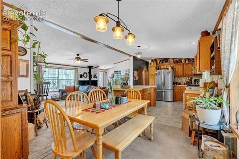 Tiny photo for 44 Silver Trail, Florissant, CO 80816 (MLS # 5250177)