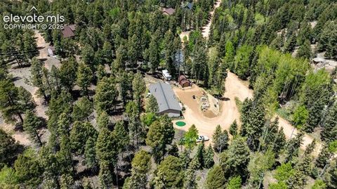 Tiny photo for 44 Silver Trail, Florissant, CO 80816 (MLS # 5250177)