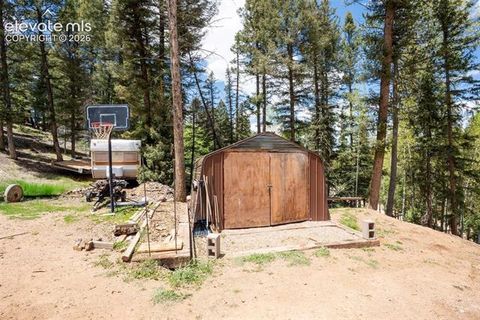 Tiny photo for 44 Silver Trail, Florissant, CO 80816 (MLS # 5250177)