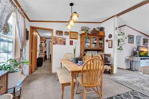 Tiny photo for 44 Silver Trail, Florissant, CO 80816 (MLS # 5250177)