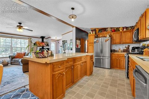 Tiny photo for 44 Silver Trail, Florissant, CO 80816 (MLS # 5250177)