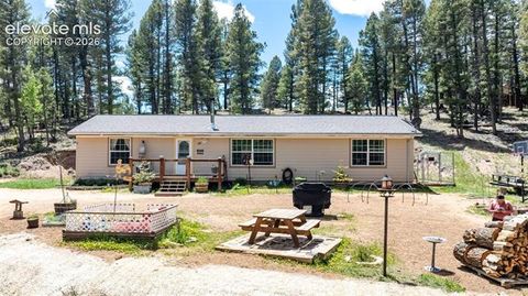 Tiny photo for 44 Silver Trail, Florissant, CO 80816 (MLS # 5250177)
