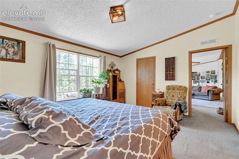 Tiny photo for 44 Silver Trail, Florissant, CO 80816 (MLS # 5250177)