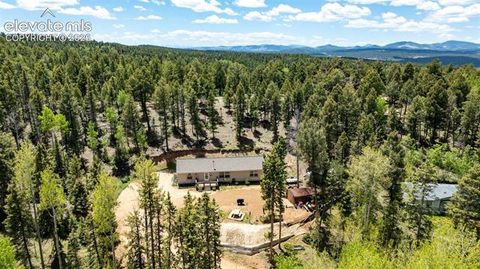 Tiny photo for 44 Silver Trail, Florissant, CO 80816 (MLS # 5250177)