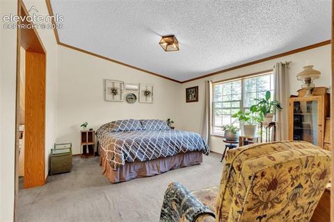 Tiny photo for 44 Silver Trail, Florissant, CO 80816 (MLS # 5250177)