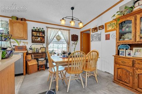 Tiny photo for 44 Silver Trail, Florissant, CO 80816 (MLS # 5250177)