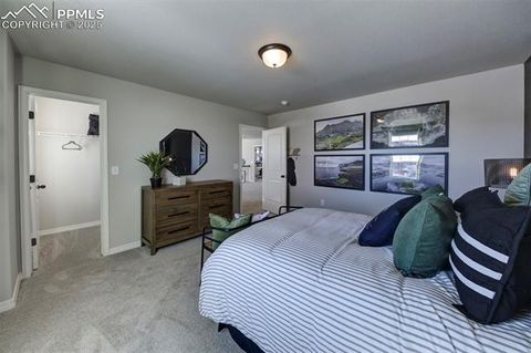 Tiny photo for 8268 Sophia Lane, Falcon, CO 80831 (MLS # 2876791)