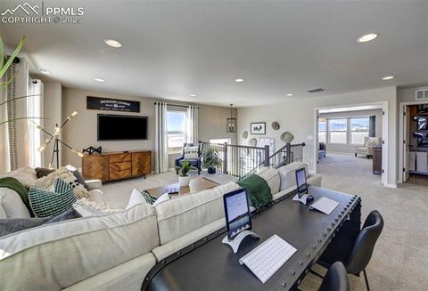 Tiny photo for 8268 Sophia Lane, Falcon, CO 80831 (MLS # 2876791)
