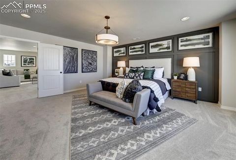 Tiny photo for 8268 Sophia Lane, Falcon, CO 80831 (MLS # 2876791)