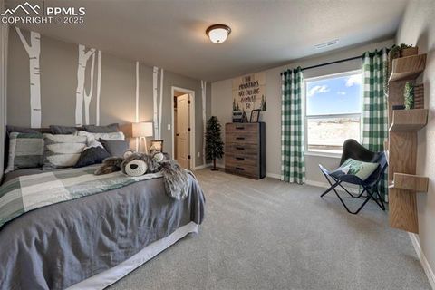 Tiny photo for 8268 Sophia Lane, Falcon, CO 80831 (MLS # 2876791)