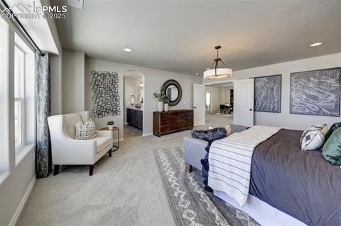 Tiny photo for 8268 Sophia Lane, Falcon, CO 80831 (MLS # 2876791)