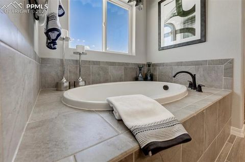 Tiny photo for 8268 Sophia Lane, Falcon, CO 80831 (MLS # 2876791)