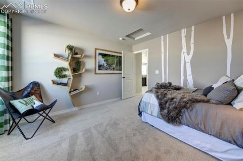 Tiny photo for 8268 Sophia Lane, Falcon, CO 80831 (MLS # 2876791)